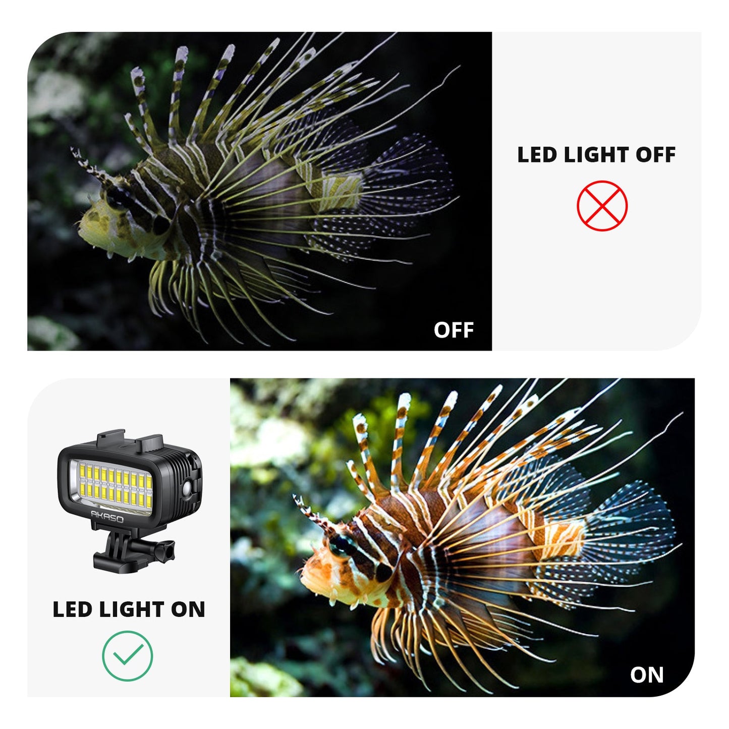 AKASO Diving Light - Shop - AKASO