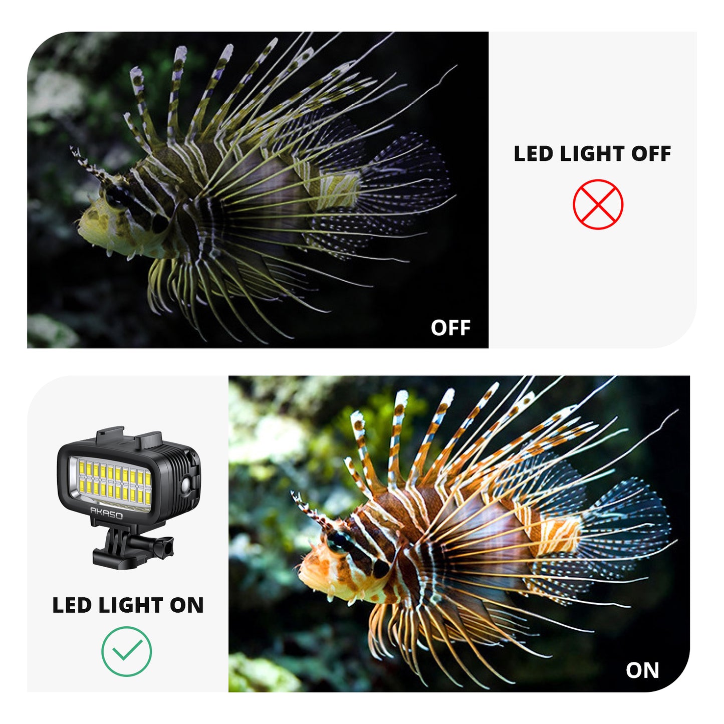 AKASO Diving Light-images